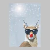 Cool Rudolph- Photocards (sets of 10)