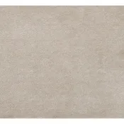 Anari