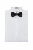 (15½) Regular Fit Wingtip Collar Pin Pleated Tuxedo Shirt - White