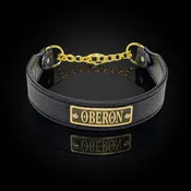 1.5" Wide Name Plate Leather Martingale Dog Collar (LM8NG)