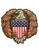 American Eagle Shield PVC Morale Patch