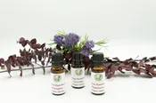 Essential Oil Starter Kit