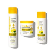 Lemon Chamomile Bundle