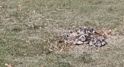 Qube AGM Camouflage Kit