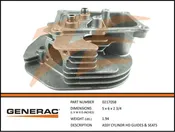 021705B Assy Cylinder Head with Guides and Seats