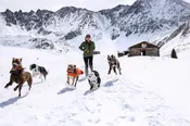 2 Week Program (Puppy or Adult)