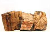 Canyon Rock Series: Petrified Forest Small