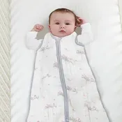 Aden + Anais Four-Layer Cozy Sleeping Bag For The Birds Owls - Large