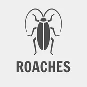 German Roach Intensive