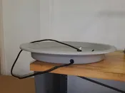 The Whelping Nest