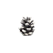 Lodgepole Cone Finial | Small