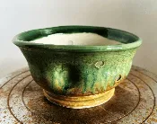 Organic Orchid Pot 6 1/4″