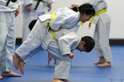 Large Dojo Rental — Japanese Cultural & Community Center of Washington Seattle