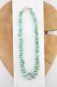 19" Campitos Turquoise Necklace (y10440b)