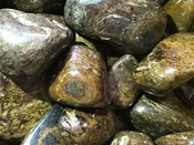 Bronzite