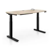 Sit-to-Stand Deluxe Electric Desk