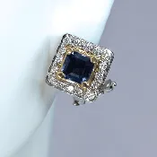 Custom Princess-Cut Sapphire Earrings - 14K White Gold & 14K Yellow Gold