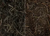 Dyed Mulches