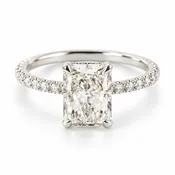 14kt White Gold 3.07 F Color VS1 Clarity Lab Diamond with 44 Round Diamonds .49ct Natural Mounting