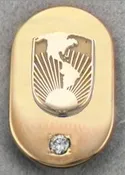 10 Year Lapel Pin or Charm