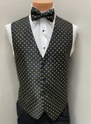 Black & Gold Fleur de Lis Vest and Bow Tie