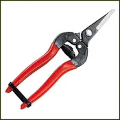 ARS 300SS Fruit Pruner