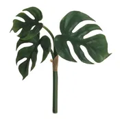8" Split Leaf Philodendron Bush
