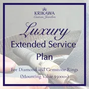$650 Luxury Extended Service Plan