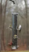 Aspects Large Quick Clean Seed Tube (Brushed Nickel)