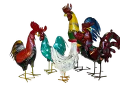 Medium Chicken