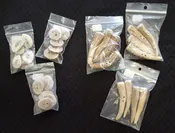 Antler Buttons
