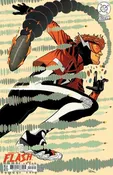 Absolute Flash #19 Cover C Steve Skroce Card Stock Variant
