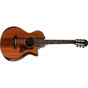 PS12ce 12-Fret Honduran Rosewood