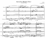 Air on the Bassoon Reed
