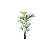 93" Kentia Palm Tree