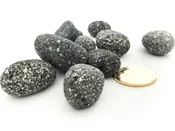 Black Bean