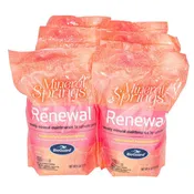BioGuard – Mineral Springs Renewal 4LB