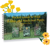 Kathryn's Herbal Guide
