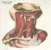 Harlan T. Bobo - I'm Your Man