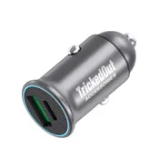 Dual USB Car Charger