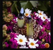 Hair Growth / Conditioning Oil