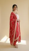 Blush Pink & Ruby Red Patiala Set