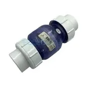 2" Spring Check Valve with Unions