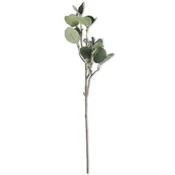 24 Inch Eucalyptus Stem w/Pods