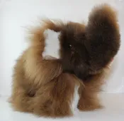 Elephants