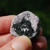 1.2" 22g Hexagon Ruby Corundum Crystal Record Keeper with Black Tourmaline, Natural Raw Ruby Crystal, k23