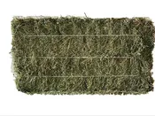 Alfalfa 3 Strand
