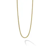 18K Gold Caviar Chain Necklace | 2mm