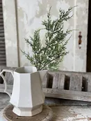 20" Creeping Cedar Spray | Green