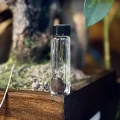 Ermine Heart Wet Specimen — Rest in Pieces